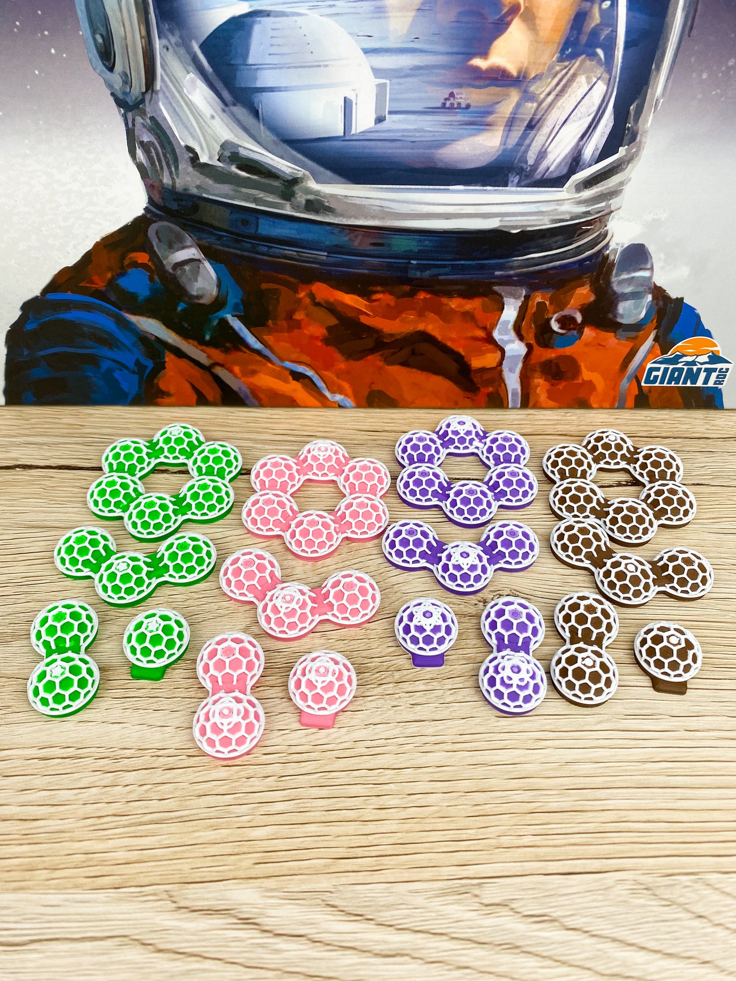 Mondbasis Shackleton 3D Token