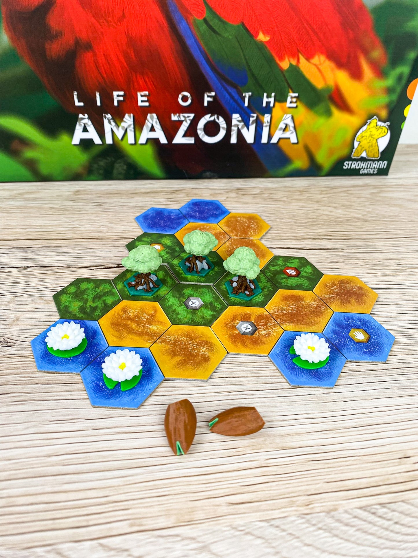 Life of the Amazonia 3D Token