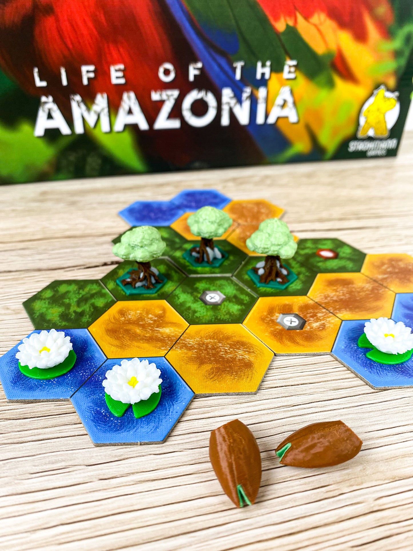 Life of the Amazonia 3D Token