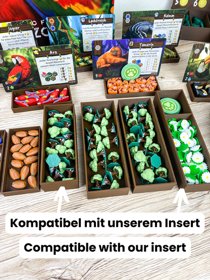 Life of the Amazonia 3D Token