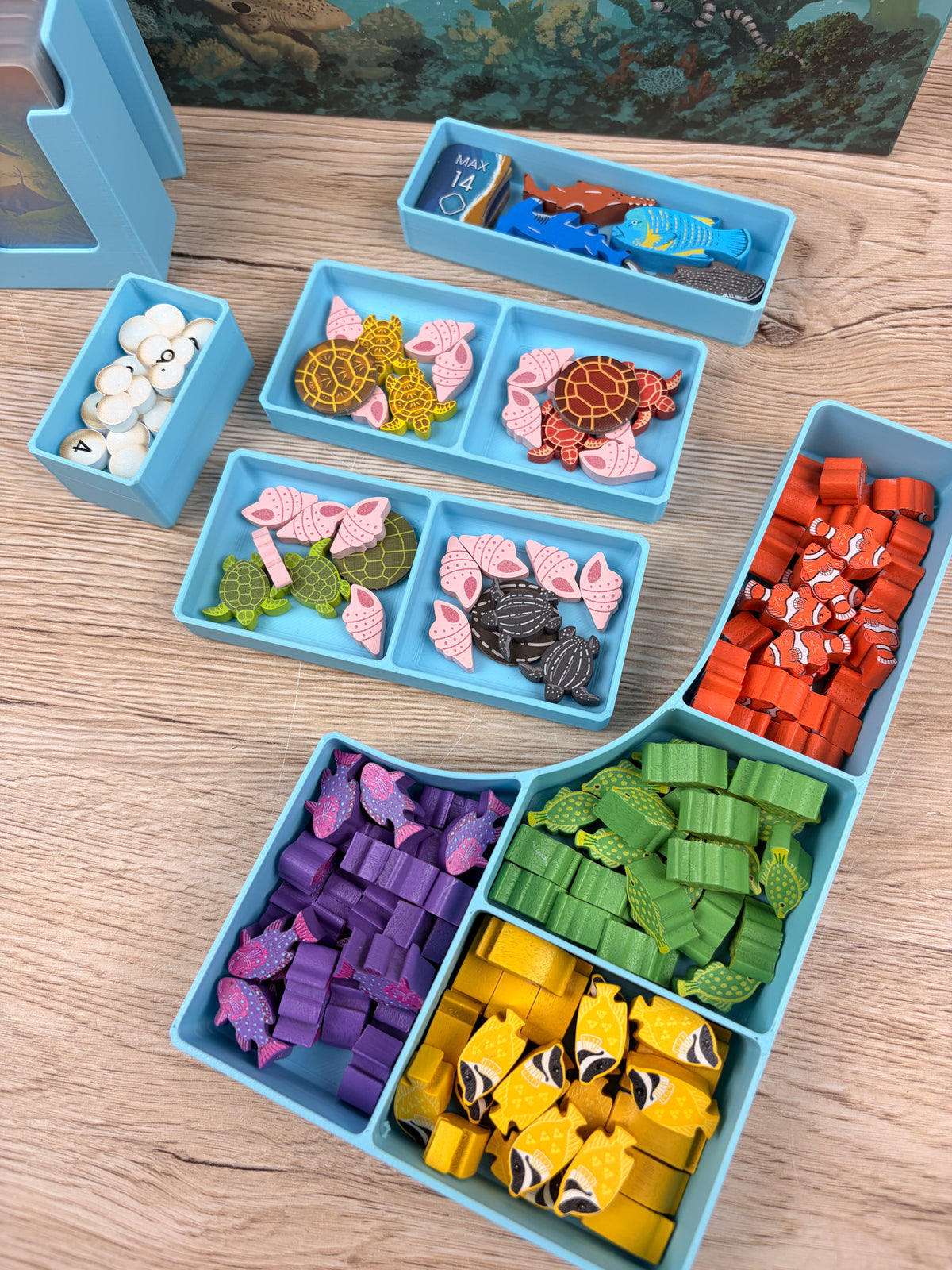 Riffwelten Insert + Erweiterungen
